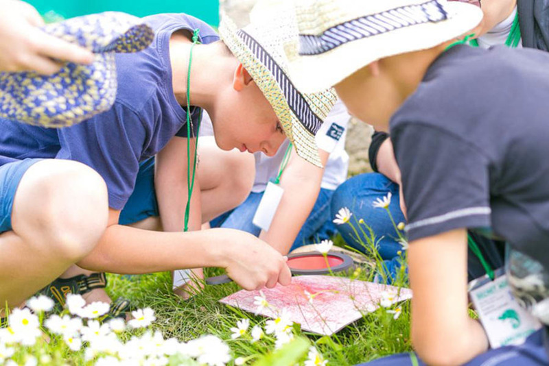 Квест Дети-шпионы: Черная кошка